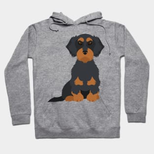 Wired Black Tan Sitting Dachshund Hoodie